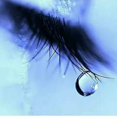 Sad & Love Songs ๐ค๐ผ๐ถ๐ง๐ป profile
