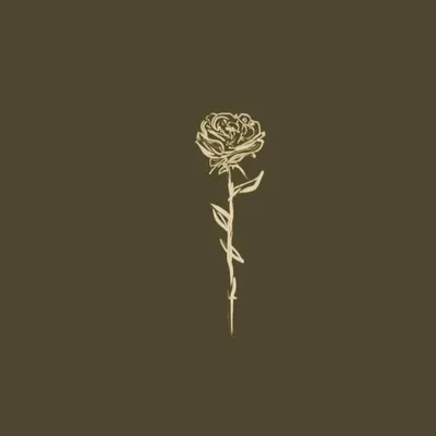 Rose profile