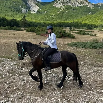 Sara profile