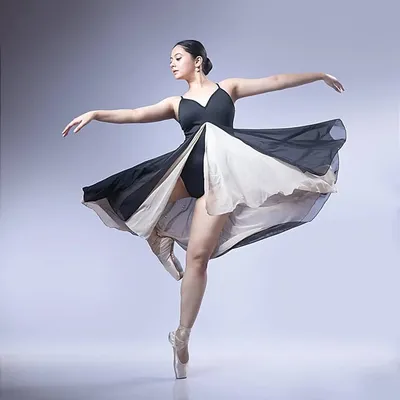 sasha shetty profile