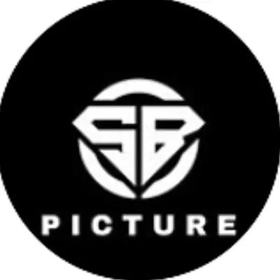 SB picture profile