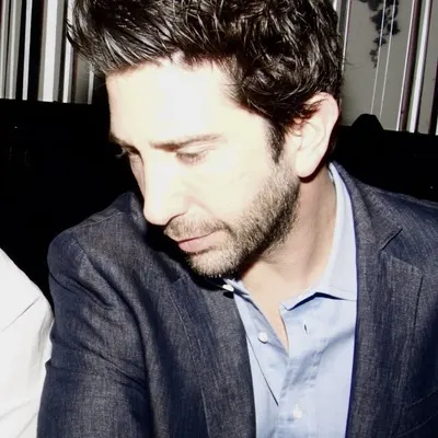 David Schwimmer profile