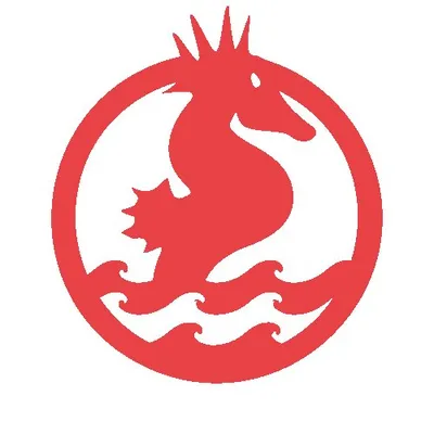 Sea Punks e.V. profile