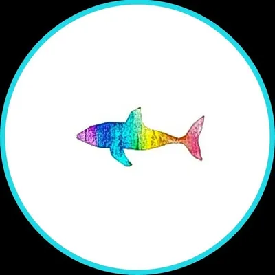 Shark Fitness : HOME PILATES profile