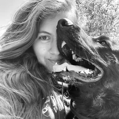 Wise K9 Photography profile