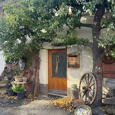 Romualda Sieradz profile