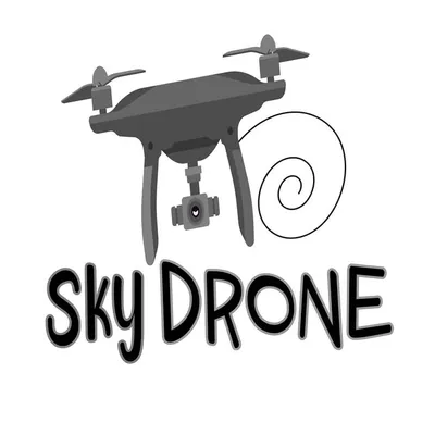 Sky Drone profile
