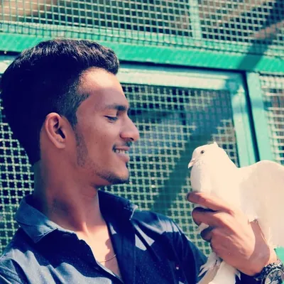 प्रतिक साळूंखे profile