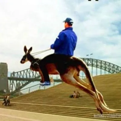🇦🇺Aussie Memes🇦🇺 profile
