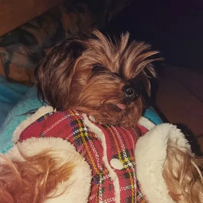 Sütemény👑❤ profile