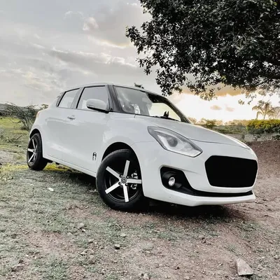swift lover profile
