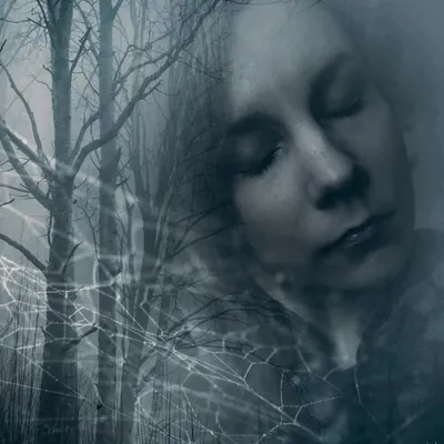 Juuli 🌿 Moody details of Nature profile