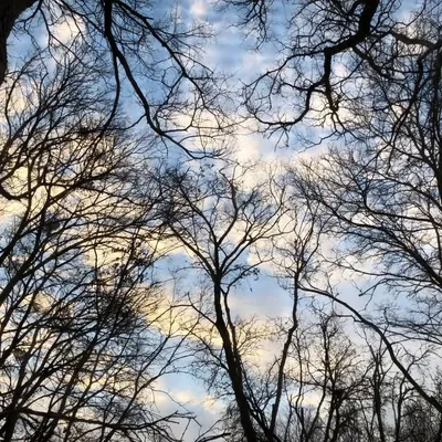 Texas Nature profile