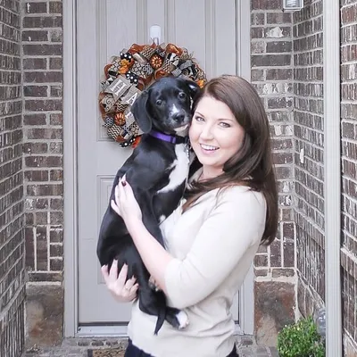 Susan ๐ Home Decor & Easy DIYs profile