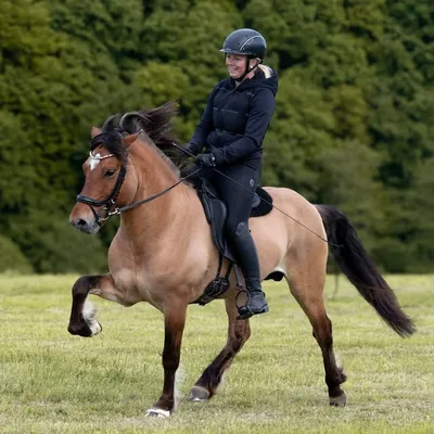 ❱ LISA UND IHRE ISIS ❰ profile