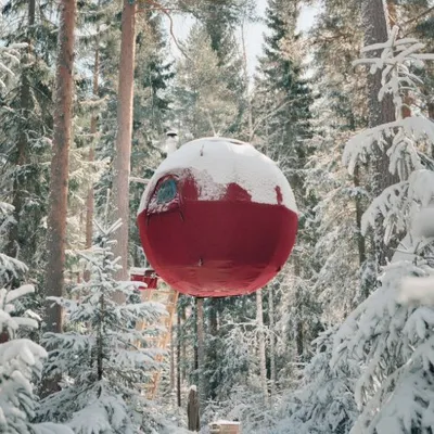 Tree Tents International profile