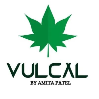 Vulcal | Custom Lehenga profile