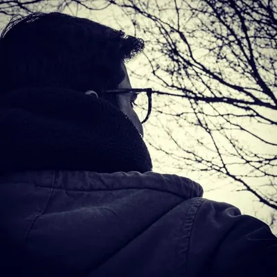 Travelling Wallflower profile