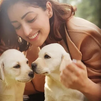 yamigautam profile