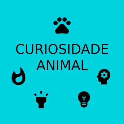 Curiosidade Animal profile