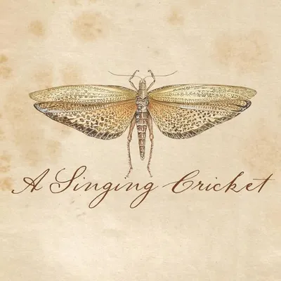 A Singing Cricket | illustrations by Gillian Bowen-Johnston profile