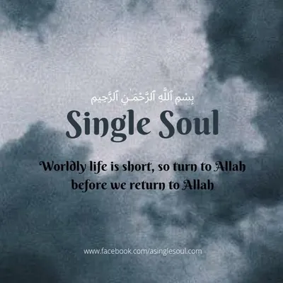 Single Soul profile