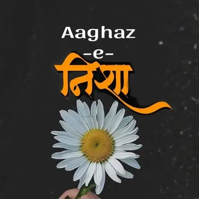 Nisha Shahi profile