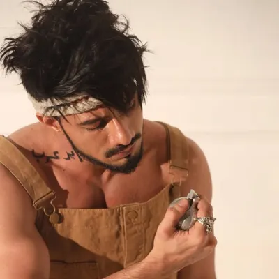 Aamir Arab profile