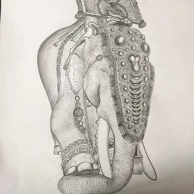 aana_kambam profile