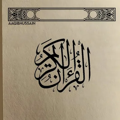 Aaqib Hussain | Quranic Reflections profile
