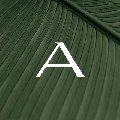 Aara | The Designer Store profile