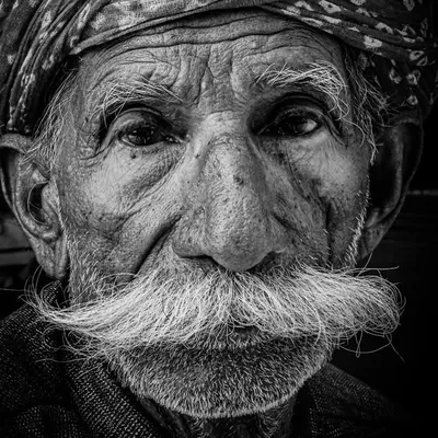 Arpit profile