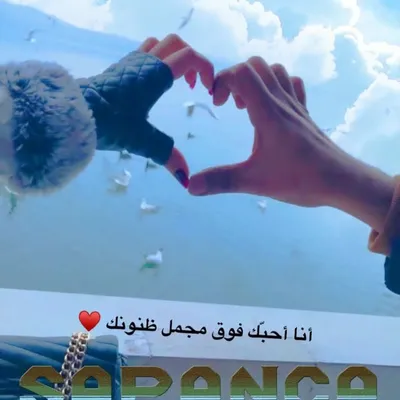 ❤️ عواشه الشمري & الوايليه ❤️ profile