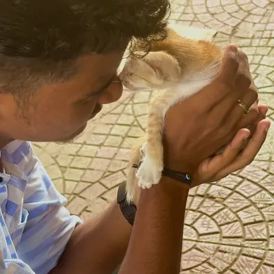 आयुष❤️ profile