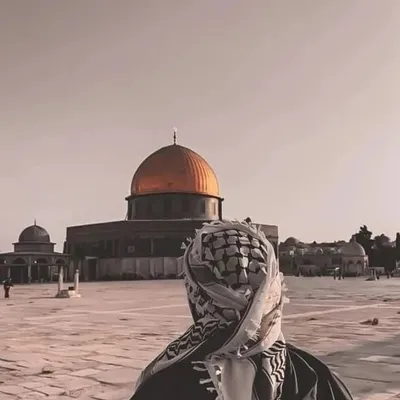 ABDUL QAVI profile