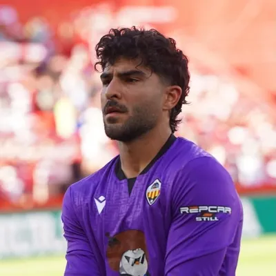 Amir Abedzadeh profile