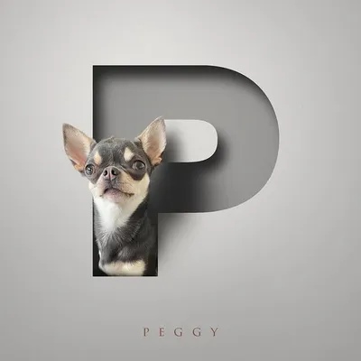 Peggy ๐ฉท Pico ๐ Pip ๐ & Nicola ๐โโ๏ธ profile