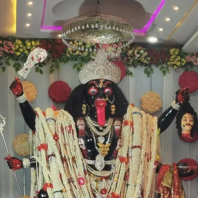 @bhi_singh profile