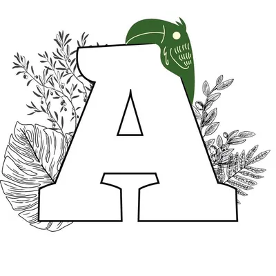 Abrasileirada profile