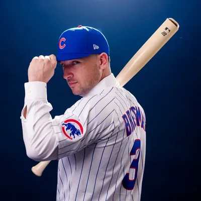Alex Bregman profile