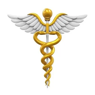 Abroad Medical Education (AME) profile