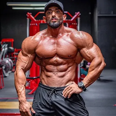 Abtin Shekarabi profile