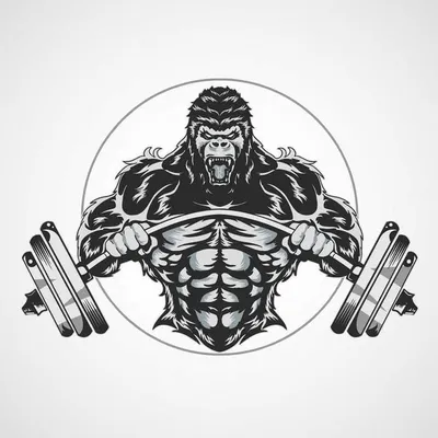 AbusedGym | Memes | Fitness profile