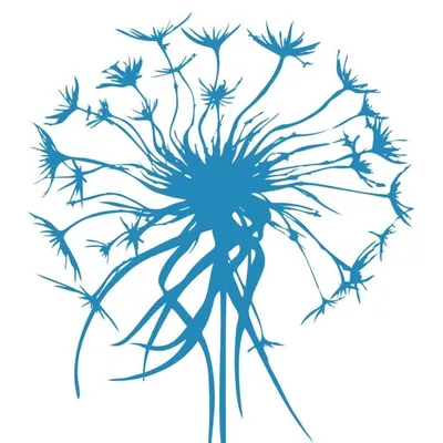 Access Consciousness profile