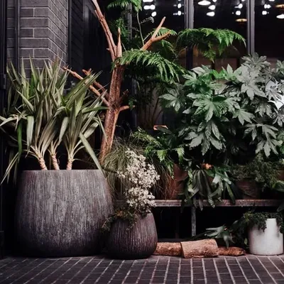 Ace Hotel London Shoreditch profile