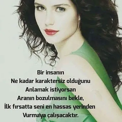 açelya algın profile