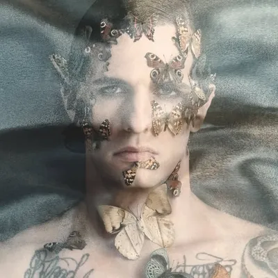 ACHILLE LAURO® profile