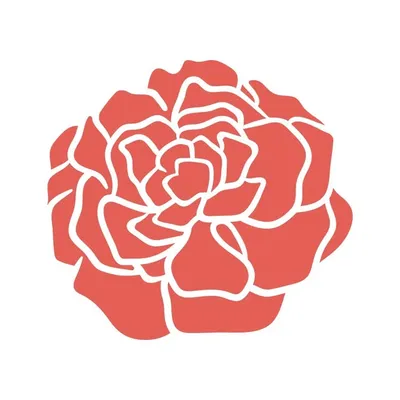 La Farándula- Representantes profile