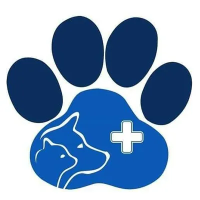 AcuVet Veterinary Clinic |Animal Acupuncture | Holistic Healing profile