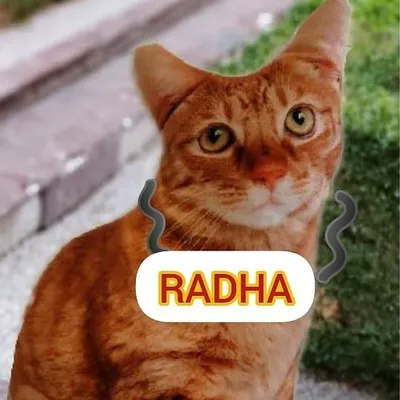 Radha Sharma